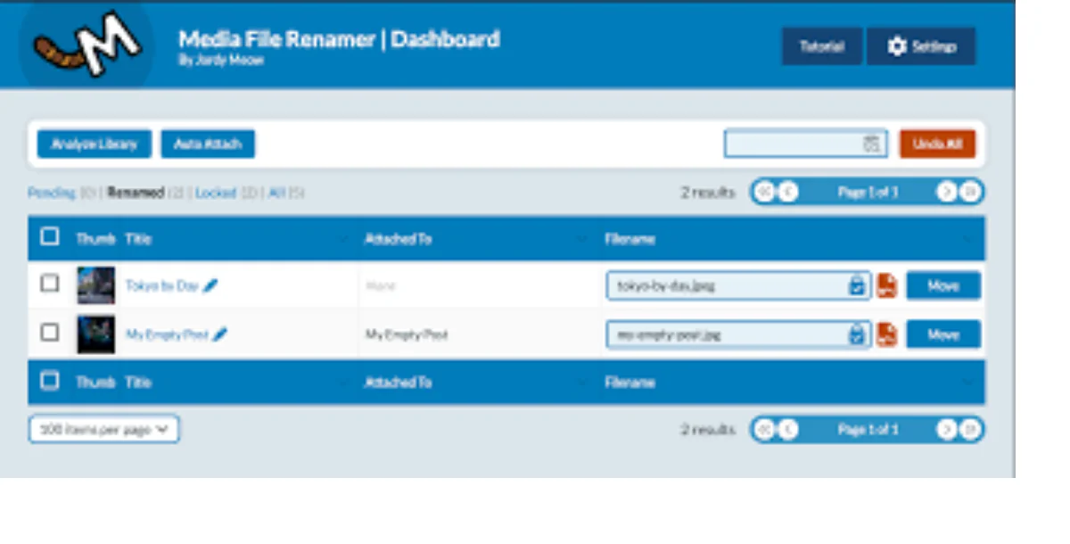 Media File Renamer Pro v6.2.0