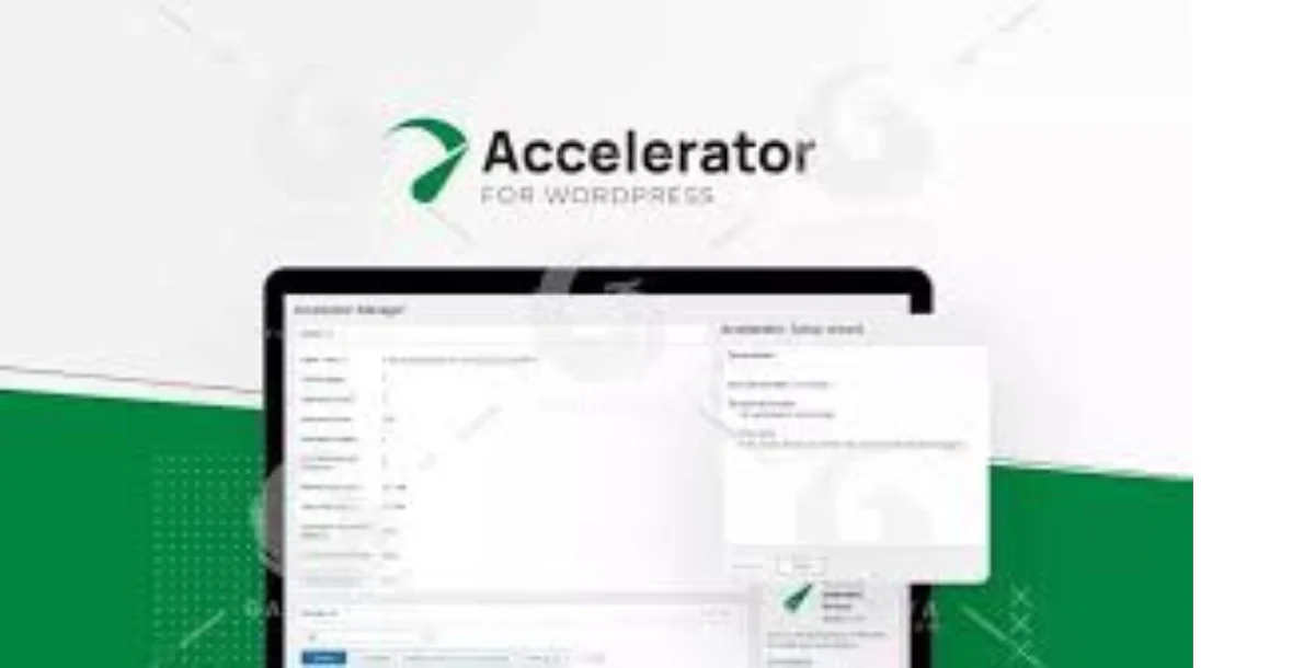 Seraphinite Accelerator v2.28.7