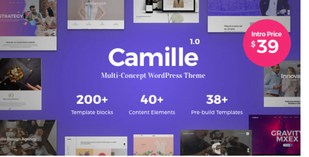 Camille v1.9.0 - Multi-Concept WordPress Theme