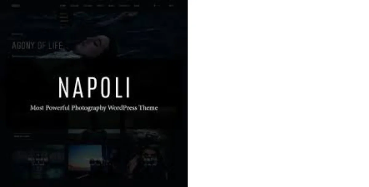 Napoli v2.4.5 - Photography WordPress