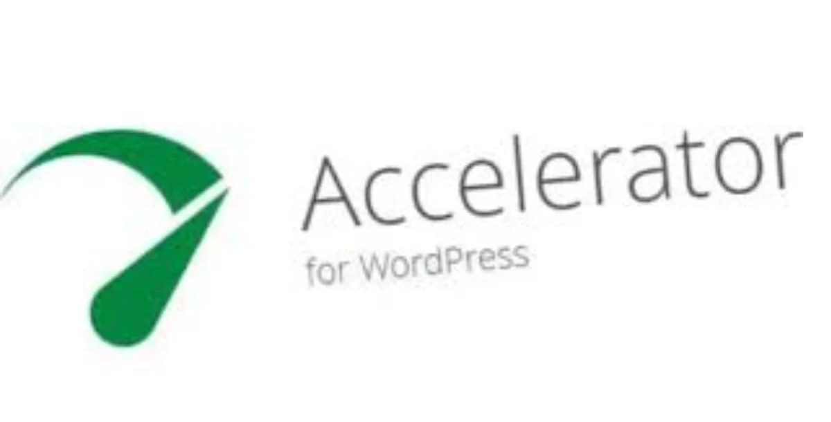 Seraphinite Accelerator v2.28.8