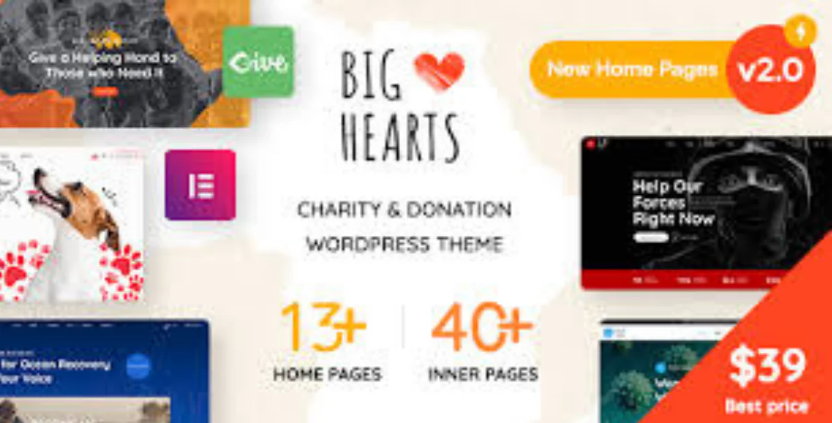 BigHearts v3.1.11 - Charity & Donation WordPress Theme