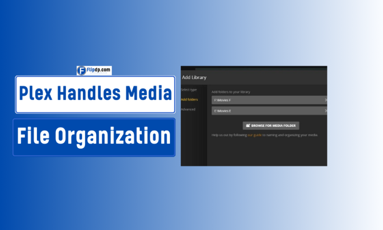 How Plex Handles Media File Organization