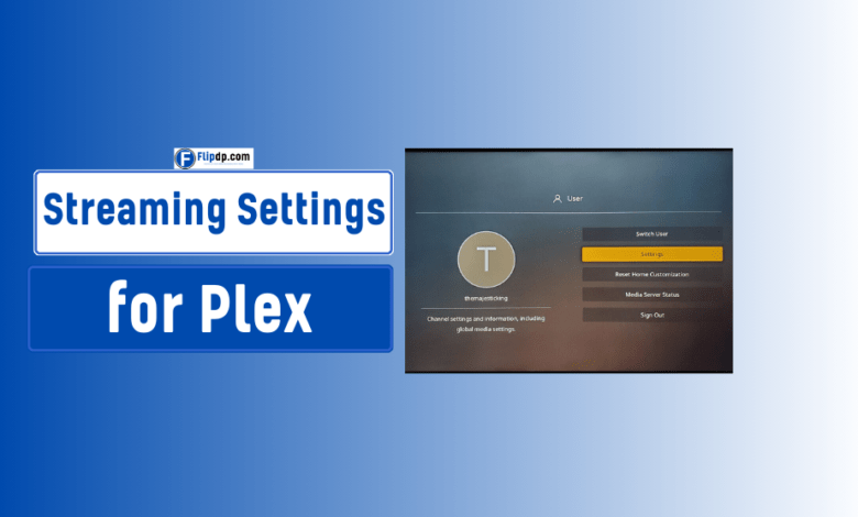 Best Streaming Settings for Plex