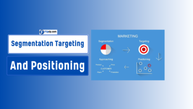 What Are Segmentation Targeting And Positioning