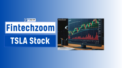 Fintechzoom TSLA Stock