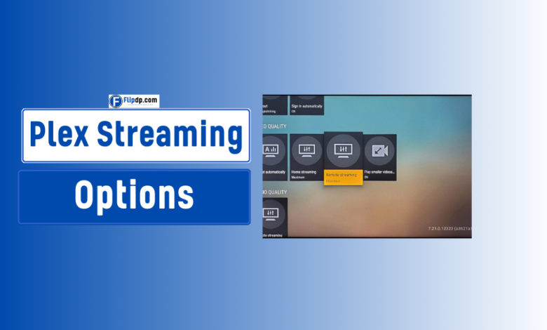 Plex Streaming Options