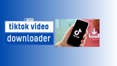 tiktok video downloader