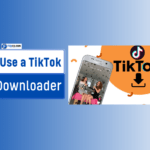 How to Use a TikTok Video Downloader