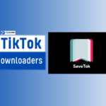 Top TikTok Video Downloaders