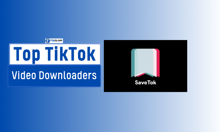 Top TikTok Video Downloaders