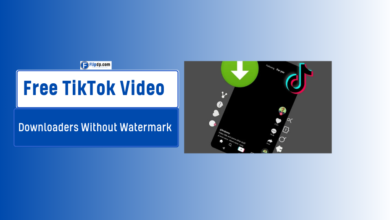 Free TikTok Video Downloaders Without Watermark