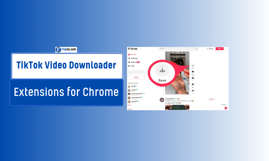 TikTok Video Downloader Extensions for Chrome