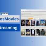 How to Use LosMovies for Streaming