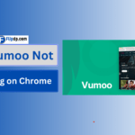 Fix Vumoo Not Working on Chrome