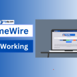 PrimeWire Still Working