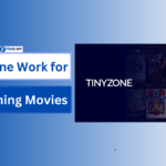 Tinyzone Work for Streaming Movies