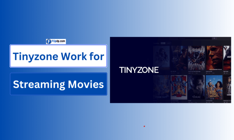 Tinyzone Work for Streaming Movies