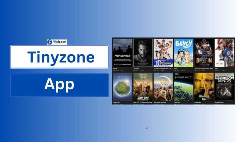 Tinyzone App