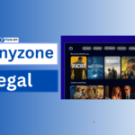 Is Tinyzone Legal