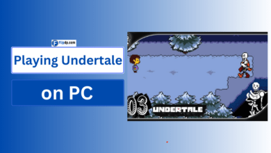 Playing Undertale on PC