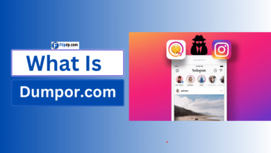 What Is Dumpor.com