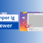 dumpor ig viewer