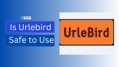 Is Urlebird Safe to Use