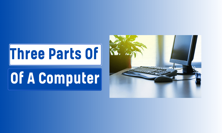 What Three Parts Of A Computer Can Accept Input