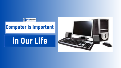 Why Computer is Important in Our Life