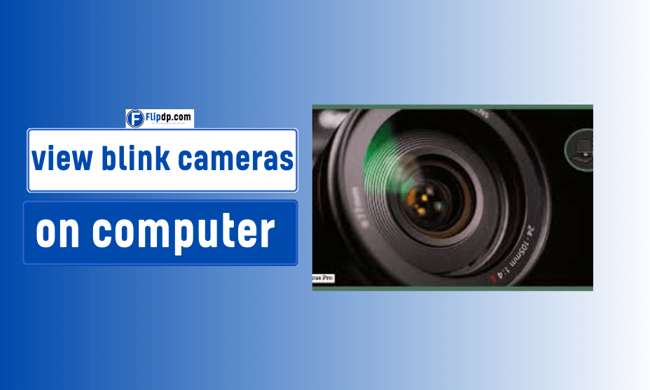 Can you view blink cameras on computer