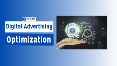 Digital Advertising Optimization