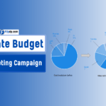 How to Allocate Budget for Marketing Campaign