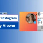 Inflact Instagram Story Viewer