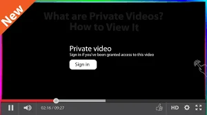 Understanding Private YouTube Videos