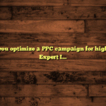 How do you optimize a PPC campaign for higher ROI?: Expert Insights