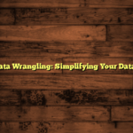 Tools for Data Wrangling: Simplifying Your Data Workflow