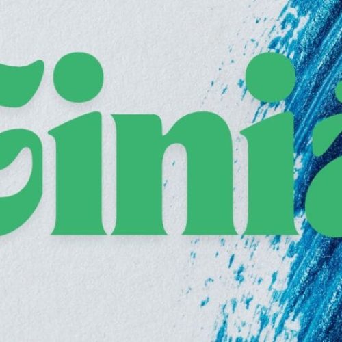 Giniä Explained: What It Means and Why It Matters
